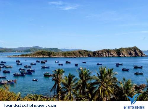 Chia Sẻ Kinh Nghiệm Khám Phá Bụi Phú Yên Một Mình - Ảnh 1