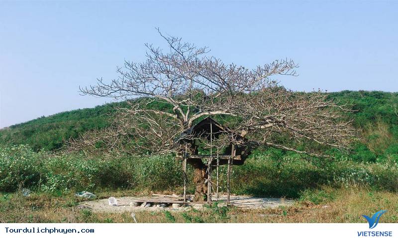 Chùm Ảnh Cận Cảnh Hòn Chùa Phú Yên Đẹp Say Đắm - Ảnh 5