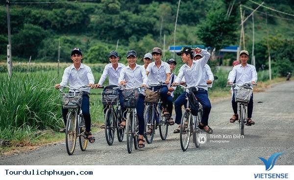 Chùm Ảnh Xứ Hoa Vàng Cỏ Xanh Phú Yên Tuyệt Đẹp Hơn Cả Trong Phim Chùm Ảnh Xứ Hoa Vàng Cỏ Xanh Phú Yên Tuyệt Đẹp Hơn Cả Trong Phim