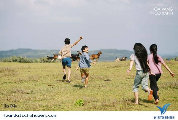 Chùm Ảnh Xứ Hoa Vàng Cỏ Xanh Phú Yên Tuyệt Đẹp Hơn Cả Trong Phim Chùm Ảnh Xứ Hoa Vàng Cỏ Xanh Phú Yên Tuyệt Đẹp Hơn Cả Trong Phim