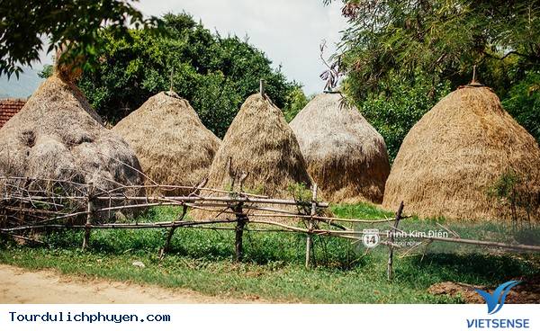 Chùm Ảnh Xứ Hoa Vàng Cỏ Xanh Phú Yên Tuyệt Đẹp Hơn Cả Trong Phim Chùm Ảnh Xứ Hoa Vàng Cỏ Xanh Phú Yên Tuyệt Đẹp Hơn Cả Trong Phim