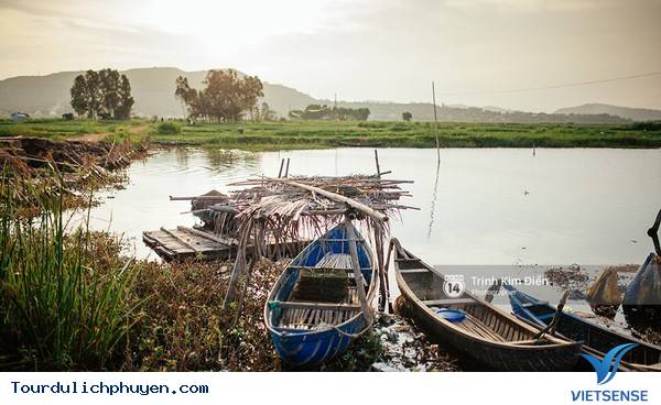 Chùm Ảnh Xứ Hoa Vàng Cỏ Xanh Phú Yên Tuyệt Đẹp Hơn Cả Trong Phim Chùm Ảnh Xứ Hoa Vàng Cỏ Xanh Phú Yên Tuyệt Đẹp Hơn Cả Trong Phim