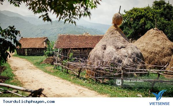 Chùm Ảnh Xứ Hoa Vàng Cỏ Xanh Phú Yên Tuyệt Đẹp Hơn Cả Trong Phim Chùm Ảnh Xứ Hoa Vàng Cỏ Xanh Phú Yên Tuyệt Đẹp Hơn Cả Trong Phim