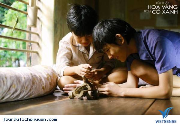 Chùm Ảnh Xứ Hoa Vàng Cỏ Xanh Phú Yên Tuyệt Đẹp Hơn Cả Trong Phim Chùm Ảnh Xứ Hoa Vàng Cỏ Xanh Phú Yên Tuyệt Đẹp Hơn Cả Trong Phim