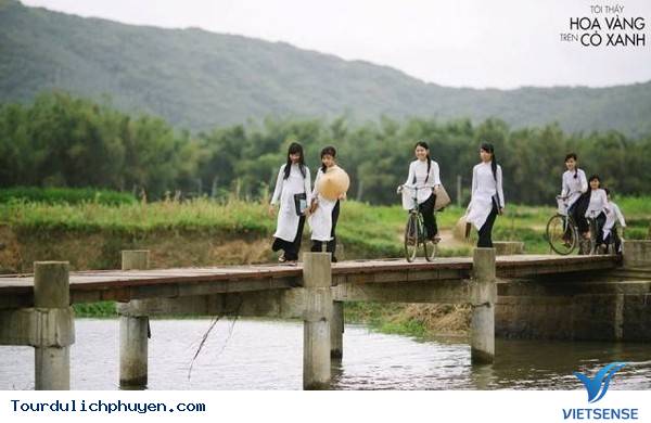 Chùm Ảnh Xứ Hoa Vàng Cỏ Xanh Phú Yên Tuyệt Đẹp Hơn Cả Trong Phim Chùm Ảnh Xứ Hoa Vàng Cỏ Xanh Phú Yên Tuyệt Đẹp Hơn Cả Trong Phim