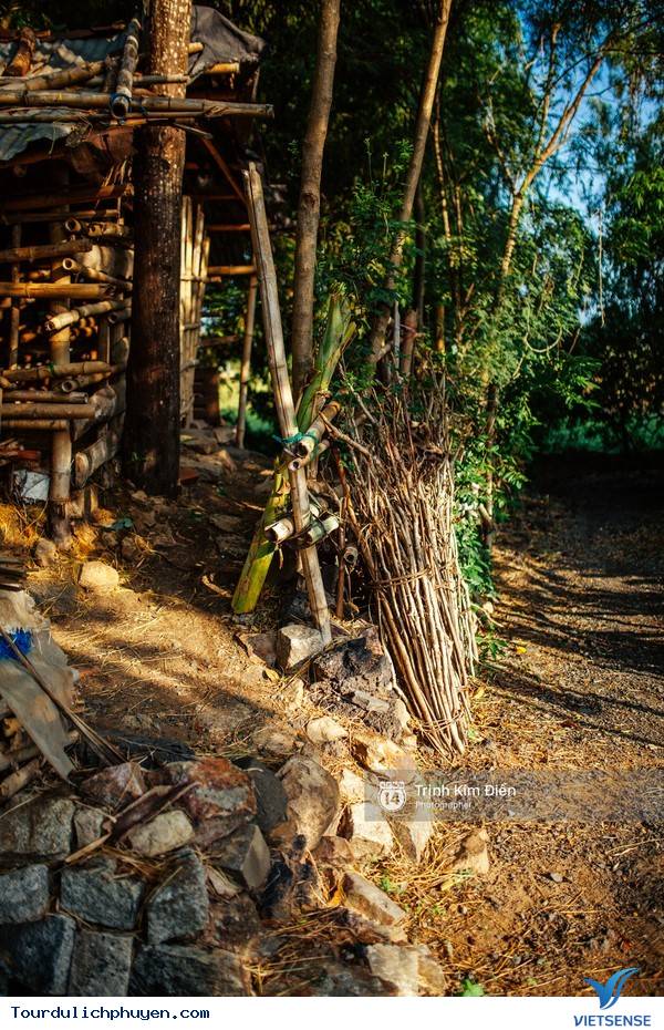 Chùm Ảnh Xứ Hoa Vàng Cỏ Xanh Phú Yên Tuyệt Đẹp Hơn Cả Trong Phim Chùm Ảnh Xứ Hoa Vàng Cỏ Xanh Phú Yên Tuyệt Đẹp Hơn Cả Trong Phim