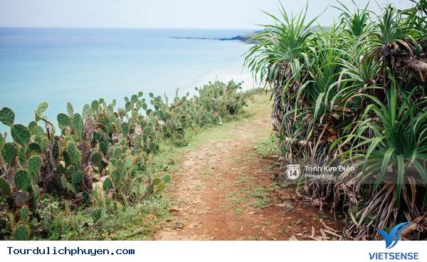 Chùm Ảnh Xứ Hoa Vàng Cỏ Xanh Phú Yên Tuyệt Đẹp Hơn Cả Trong Phim Chùm Ảnh Xứ Hoa Vàng Cỏ Xanh Phú Yên Tuyệt Đẹp Hơn Cả Trong Phim