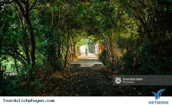 Chùm Ảnh Xứ Hoa Vàng Cỏ Xanh Phú Yên Tuyệt Đẹp Hơn Cả Trong Phim Chùm Ảnh Xứ Hoa Vàng Cỏ Xanh Phú Yên Tuyệt Đẹp Hơn Cả Trong Phim