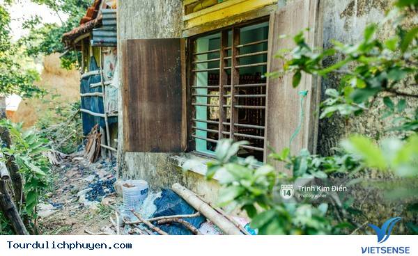 Chùm Ảnh Xứ Hoa Vàng Cỏ Xanh Phú Yên Tuyệt Đẹp Hơn Cả Trong Phim Chùm Ảnh Xứ Hoa Vàng Cỏ Xanh Phú Yên Tuyệt Đẹp Hơn Cả Trong Phim