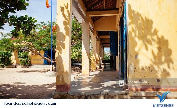 Chùm Ảnh Xứ Hoa Vàng Cỏ Xanh Phú Yên Tuyệt Đẹp Hơn Cả Trong Phim Chùm Ảnh Xứ Hoa Vàng Cỏ Xanh Phú Yên Tuyệt Đẹp Hơn Cả Trong Phim