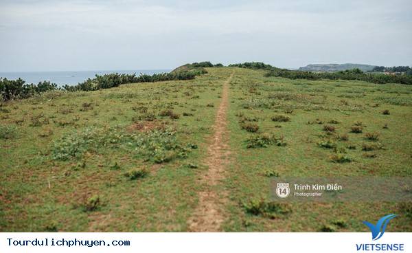 Chùm Ảnh Xứ Hoa Vàng Cỏ Xanh Phú Yên Tuyệt Đẹp Hơn Cả Trong Phim Chùm Ảnh Xứ Hoa Vàng Cỏ Xanh Phú Yên Tuyệt Đẹp Hơn Cả Trong Phim