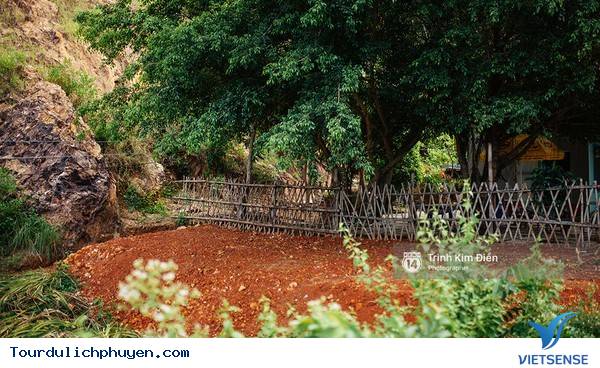 Chùm Ảnh Xứ Hoa Vàng Cỏ Xanh Phú Yên Tuyệt Đẹp Hơn Cả Trong Phim Chùm Ảnh Xứ Hoa Vàng Cỏ Xanh Phú Yên Tuyệt Đẹp Hơn Cả Trong Phim