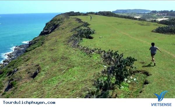 Chùm Ảnh Xứ Hoa Vàng Cỏ Xanh Phú Yên Tuyệt Đẹp Hơn Cả Trong Phim Chùm Ảnh Xứ Hoa Vàng Cỏ Xanh Phú Yên Tuyệt Đẹp Hơn Cả Trong Phim