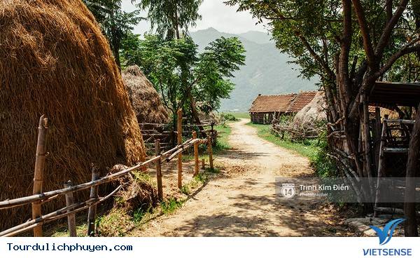 Chùm Ảnh Xứ Hoa Vàng Cỏ Xanh Phú Yên Tuyệt Đẹp Hơn Cả Trong Phim Chùm Ảnh Xứ Hoa Vàng Cỏ Xanh Phú Yên Tuyệt Đẹp Hơn Cả Trong Phim