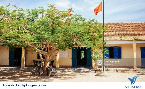 Chùm Ảnh Xứ Hoa Vàng Cỏ Xanh Phú Yên Tuyệt Đẹp Hơn Cả Trong Phim Chùm Ảnh Xứ Hoa Vàng Cỏ Xanh Phú Yên Tuyệt Đẹp Hơn Cả Trong Phim