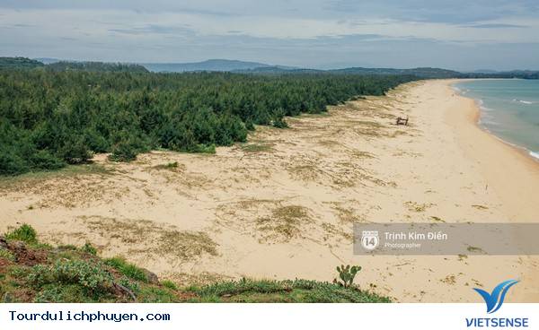Chùm Ảnh Xứ Hoa Vàng Cỏ Xanh Phú Yên Tuyệt Đẹp Hơn Cả Trong Phim Chùm Ảnh Xứ Hoa Vàng Cỏ Xanh Phú Yên Tuyệt Đẹp Hơn Cả Trong Phim