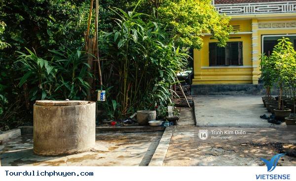 Chùm Ảnh Xứ Hoa Vàng Cỏ Xanh Phú Yên Tuyệt Đẹp Hơn Cả Trong Phim Chùm Ảnh Xứ Hoa Vàng Cỏ Xanh Phú Yên Tuyệt Đẹp Hơn Cả Trong Phim