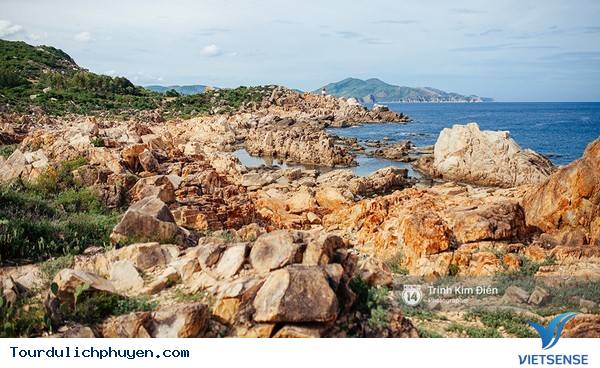 Chùm Ảnh Xứ Hoa Vàng Cỏ Xanh Phú Yên Tuyệt Đẹp Hơn Cả Trong Phim Chùm Ảnh Xứ Hoa Vàng Cỏ Xanh Phú Yên Tuyệt Đẹp Hơn Cả Trong Phim