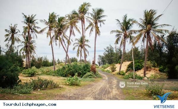 Chùm Ảnh Xứ Hoa Vàng Cỏ Xanh Phú Yên Tuyệt Đẹp Hơn Cả Trong Phim Chùm Ảnh Xứ Hoa Vàng Cỏ Xanh Phú Yên Tuyệt Đẹp Hơn Cả Trong Phim