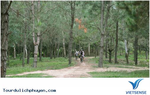 Có Một Đà Lạt Đẹp Như Thế Ngay Giữa Lòng Phú Yên - Ảnh 1