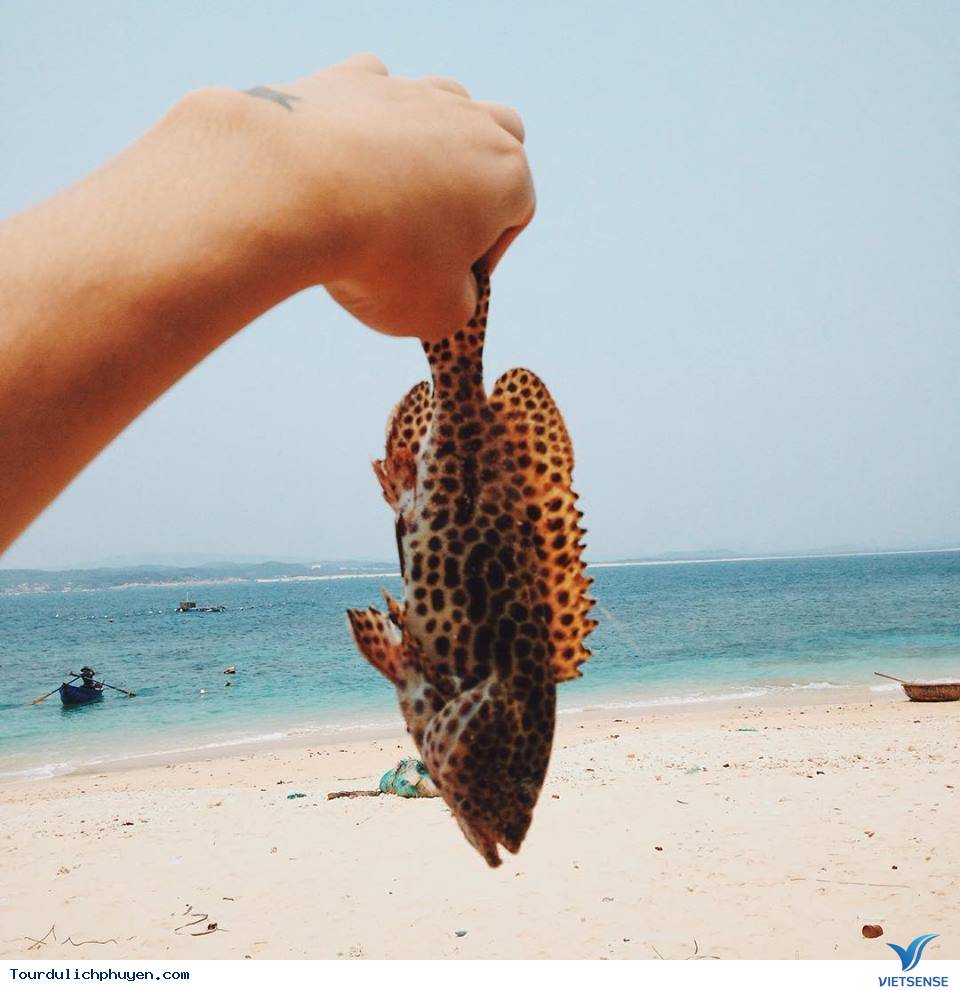 cu-lao-mai-nha8 cu-lao-mai-nha