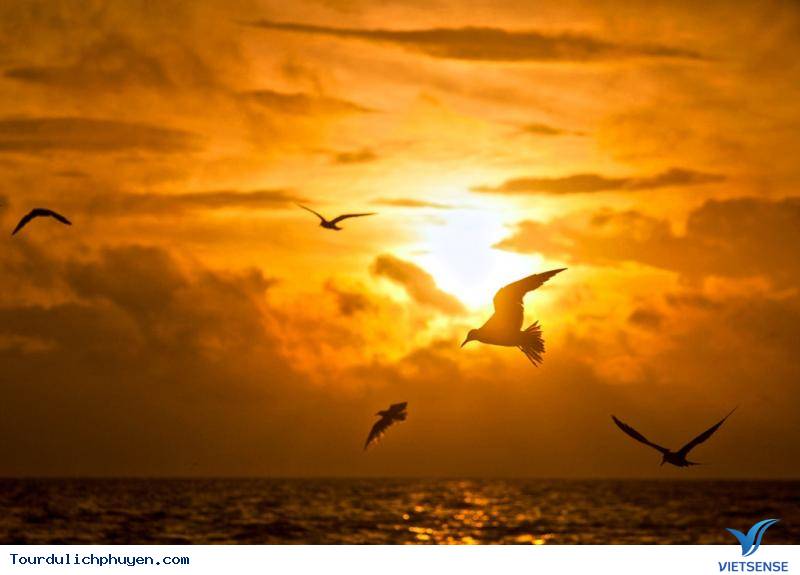 Đầm Ô Loan Phú Yên Là 1 Trong Những Đàm Nước Đẹp Nhất Việt Nam - Ảnh 4