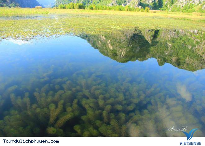 Đầm Ô Loan Phú Yên Là 1 Trong Những Đàm Nước Đẹp Nhất Việt Nam - Ảnh 6