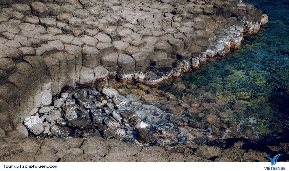 Đầu năm 2019, gành Đá Đĩa thu hút đông đảo khách thăm quan - Ảnh 3 Đầu năm 2019, gành Đá Đĩa thu hút đông đảo khách thăm quan - Ảnh 3