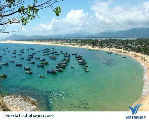 Đến Phú Yên Đi TÌm Vùng Đất Hoa Vàng, Cỏ Xanh Đẹp Như Trong Phim - Ảnh 1