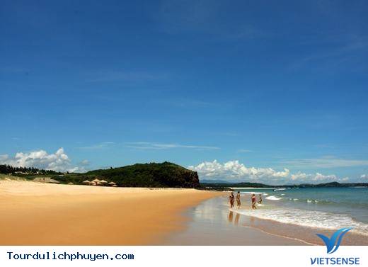 Đến Phú Yên Đi TÌm Vùng Đất Hoa Vàng, Cỏ Xanh Đẹp Như Trong Phim - Ảnh 12