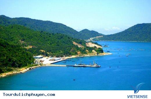 Đến Phú Yên Đi TÌm Vùng Đất Hoa Vàng, Cỏ Xanh Đẹp Như Trong Phim - Ảnh 6