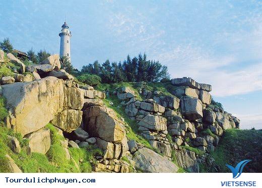 Đến Phú Yên Đi TÌm Vùng Đất Hoa Vàng, Cỏ Xanh Đẹp Như Trong Phim - Ảnh 4