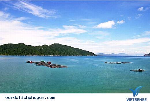 Đến Phú Yên Đi TÌm Vùng Đất Hoa Vàng, Cỏ Xanh Đẹp Như Trong Phim - Ảnh 7