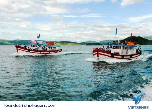 Đến Phú Yên Đi TÌm Vùng Đất Hoa Vàng, Cỏ Xanh Đẹp Như Trong Phim - Ảnh 16