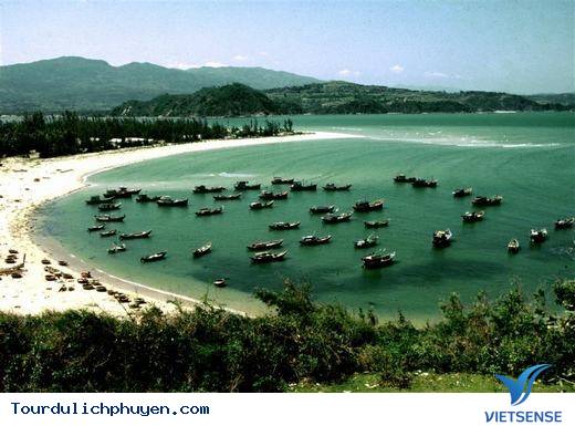 Đến Phú Yên Đi TÌm Vùng Đất Hoa Vàng, Cỏ Xanh Đẹp Như Trong Phim - Ảnh 15