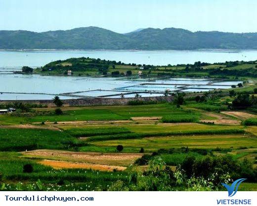 Đến Phú Yên Đi TÌm Vùng Đất Hoa Vàng, Cỏ Xanh Đẹp Như Trong Phim - Ảnh 18