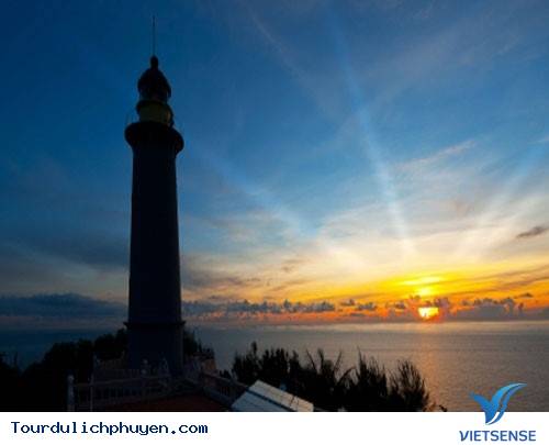 Đến Phú Yên Đi TÌm Vùng Đất Hoa Vàng, Cỏ Xanh Đẹp Như Trong Phim - Ảnh 5