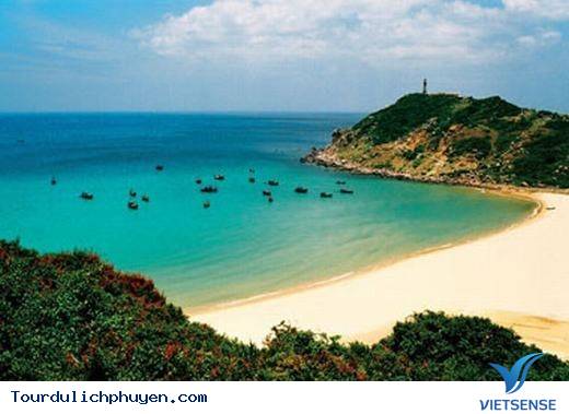 Đến Phú Yên Đi TÌm Vùng Đất Hoa Vàng, Cỏ Xanh Đẹp Như Trong Phim - Ảnh 2