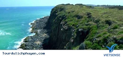 Đến Phú Yên Đi TÌm Vùng Đất Hoa Vàng, Cỏ Xanh Đẹp Như Trong Phim - Ảnh 11