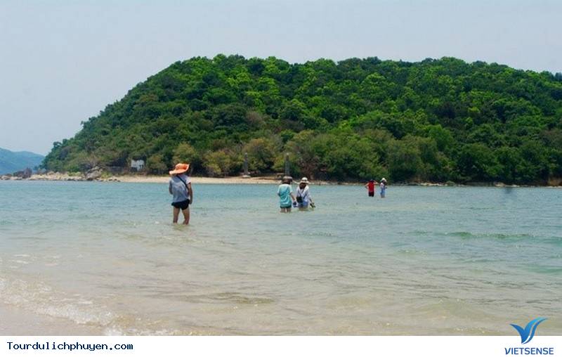 Đẹp Lạ Thường Con Đường Giữa Biển Phú Yên - Ảnh 3