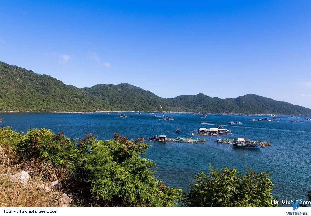 Đẹp Tuyệt Vời Cung Đường Ven Biển Sài Gòn - Phú Yên - Ảnh 18