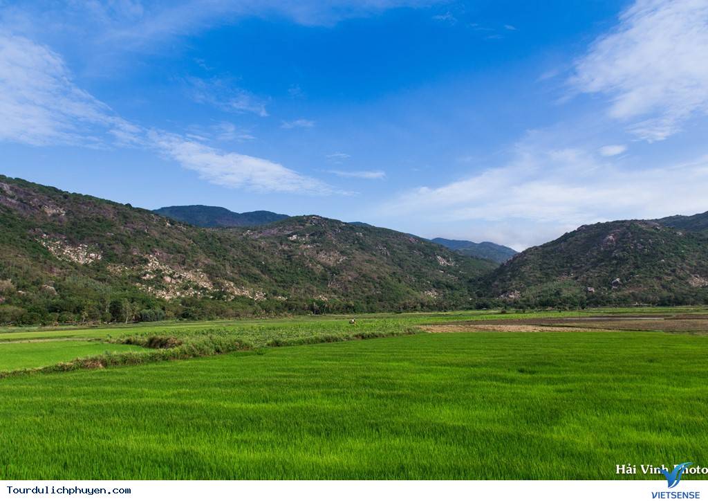 Đẹp Tuyệt Vời Cung Đường Ven Biển Sài Gòn - Phú Yên - Ảnh 12