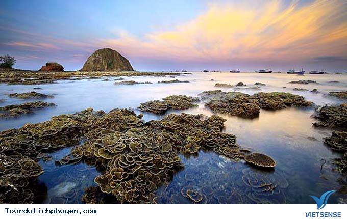 Di tích quốc gia Hòn Yến Phú Yên - Ảnh 3 Di tích quốc gia Hòn Yến Phú Yên - Ảnh 3