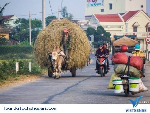 Đồng Quê Phú Yên Bình Dị Và Mộc Mạc Mà Đẹp Vô Cùng5 Đồng Quê Phú Yên Bình Dị Và Mộc Mạc Mà Đẹp Vô Cùng