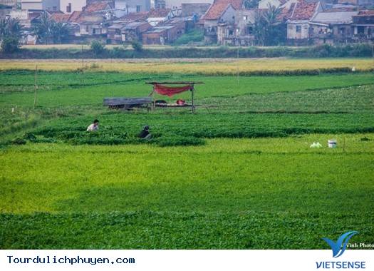 Đồng Quê Phú Yên Bình Dị Và Mộc Mạc Mà Đẹp Vô Cùng3 Đồng Quê Phú Yên Bình Dị Và Mộc Mạc Mà Đẹp Vô Cùng