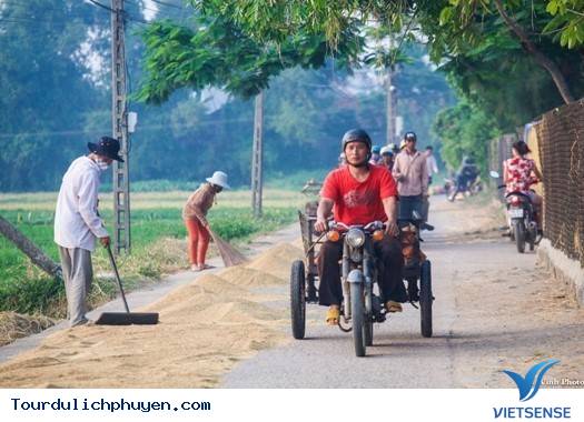 Đồng Quê Phú Yên Bình Dị Và Mộc Mạc Mà Đẹp Vô Cùng11 Đồng Quê Phú Yên Bình Dị Và Mộc Mạc Mà Đẹp Vô Cùng
