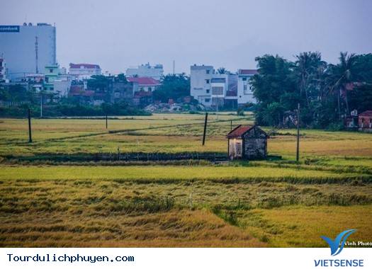Đồng Quê Phú Yên Bình Dị Và Mộc Mạc Mà Đẹp Vô Cùng2 Đồng Quê Phú Yên Bình Dị Và Mộc Mạc Mà Đẹp Vô Cùng