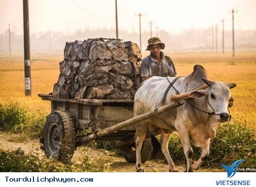 Cuộc sống còn nhiều khó khăn, nhưng người dân luôn siêng năng và lạc quan. Cuộc sống còn nhiều khó khăn, nhưng người dân luôn siêng năng và lạc quan.