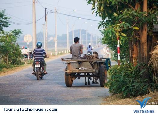 Đồng Quê Phú Yên Bình Dị Và Mộc Mạc Mà Đẹp Vô Cùng6 Đồng Quê Phú Yên Bình Dị Và Mộc Mạc Mà Đẹp Vô Cùng