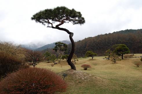 Du Lịch Gyeonggi - Điểm Đến Mới Cho Người Việt Yêu Hàn Quốc - Ảnh 4 Du Lịch Gyeonggi - Điểm Đến Mới Cho Người Việt Yêu Hàn Quốc - Ảnh 4